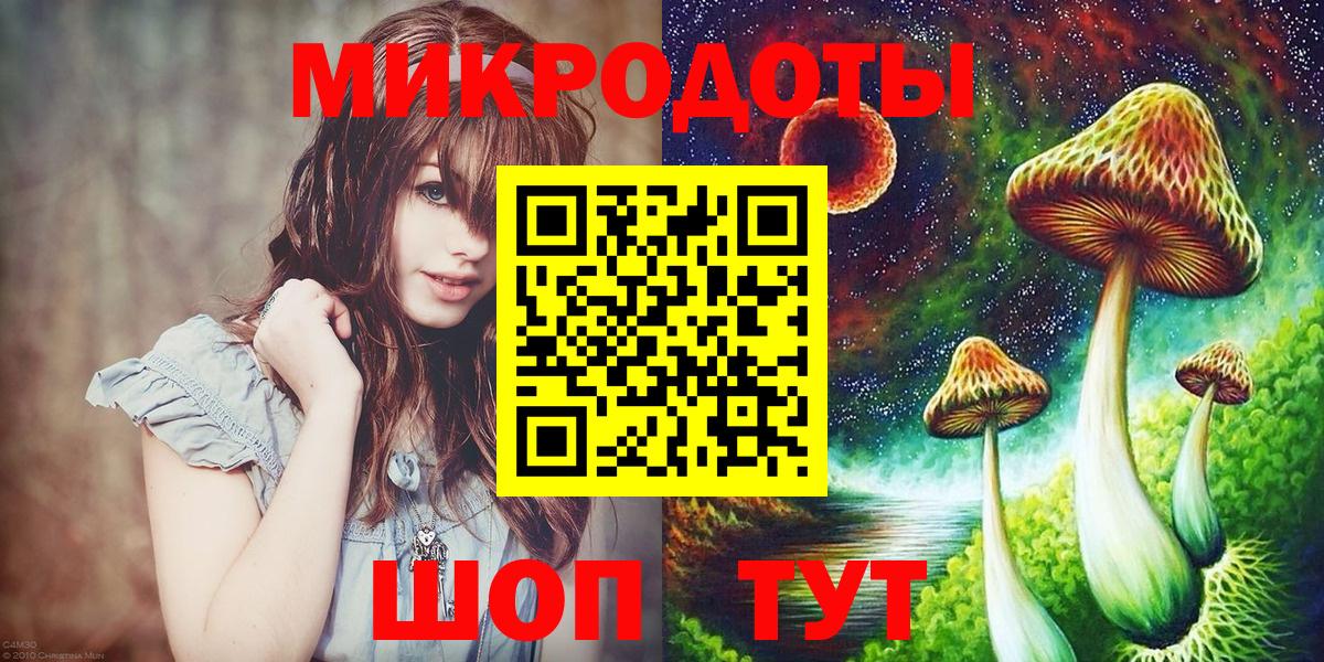 Псилоцибиновые грибы Psilocybe Тихвин