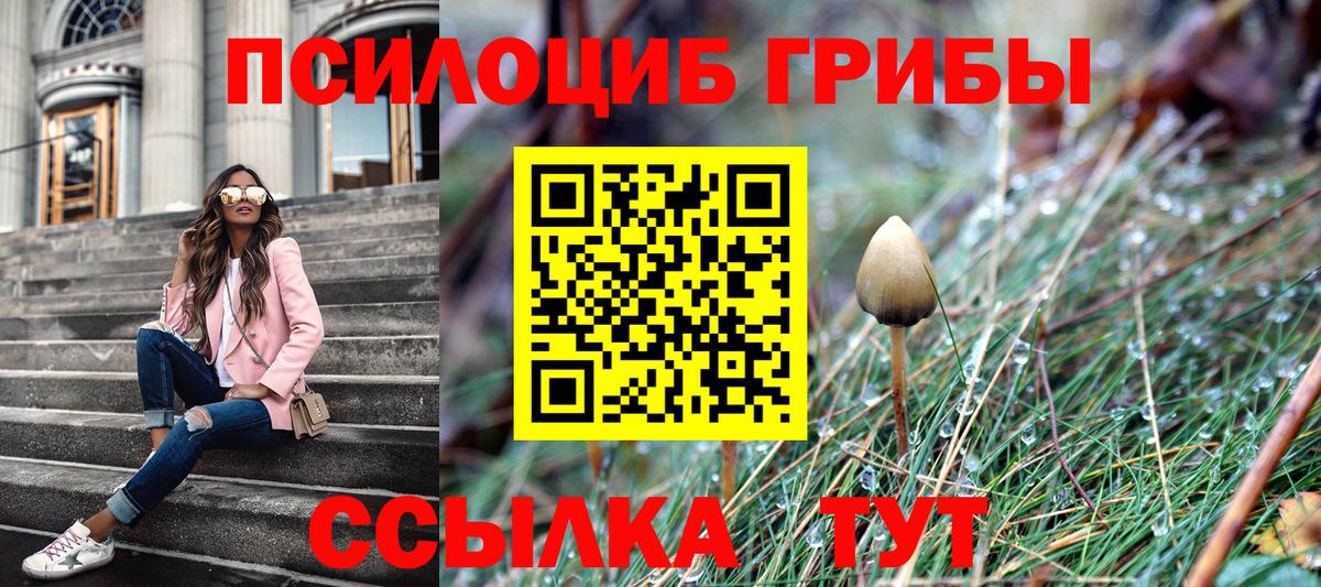 Тихвин  Псилоцибиновые грибы мицелий  Вход с VPN  Галлюциногенные грибы Cubensis 